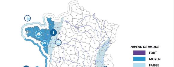 Alerte Tempete